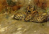 Study Of East African Leopards